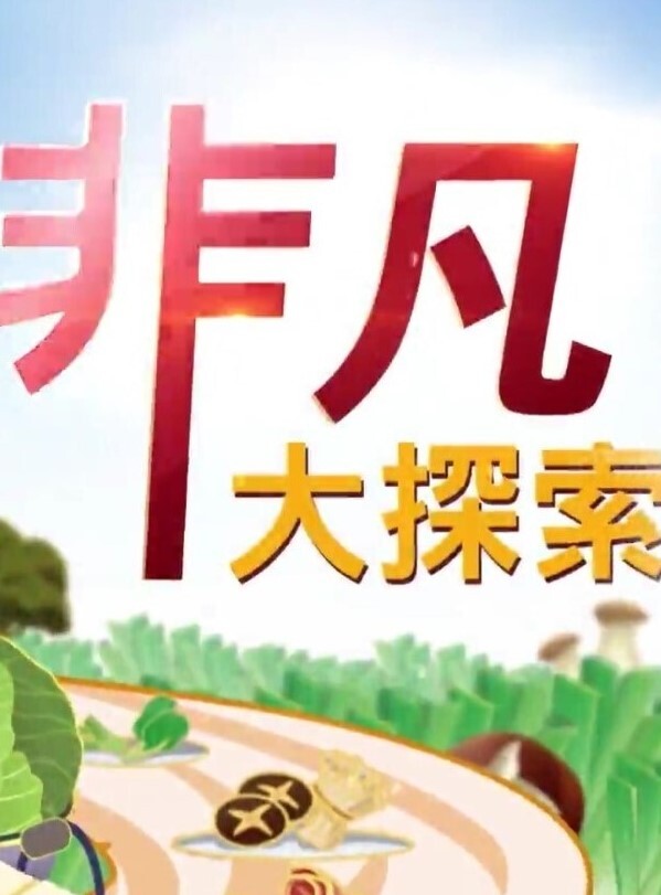 【精品 泄密 】杭州甜美女孩与男友 自拍 流出 - 星河影视海报